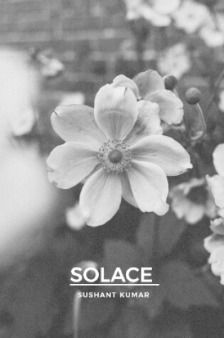 Cover of Solace