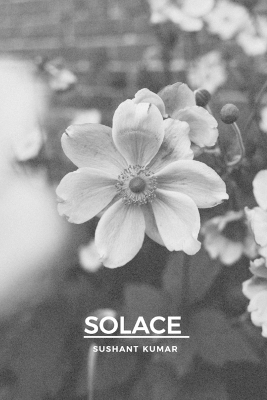 Book cover for Solace