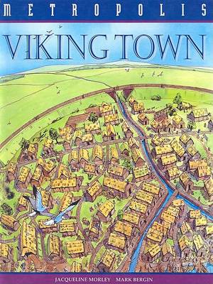 Book cover for Viking Town