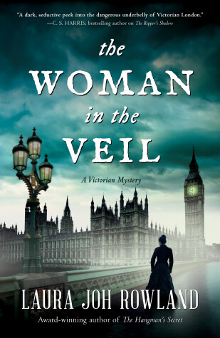 Book cover for The Woman in the Veil