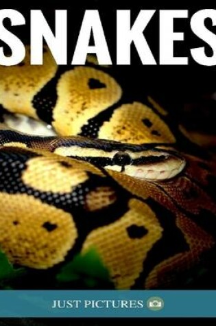 Cover of Snakes