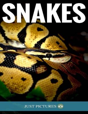 Book cover for Snakes