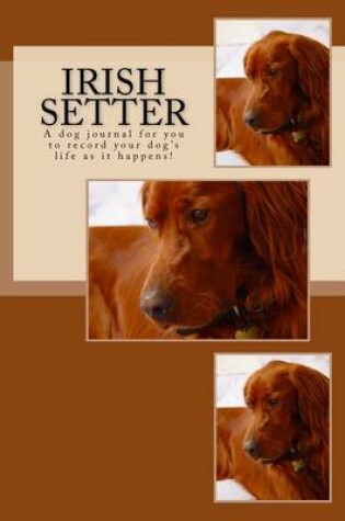 Cover of Irish Setter