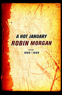 Book cover for A Hot January