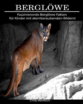 Book cover for Bergloewe