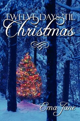 Book cover for Twelve Days 'Til Christmas