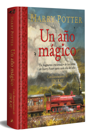Book cover for Un año mágico / Harry Potter –A Magical Year: The Illustrations of Jim Kay