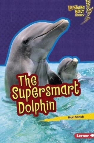 Cover of The Supersmart Dolphin