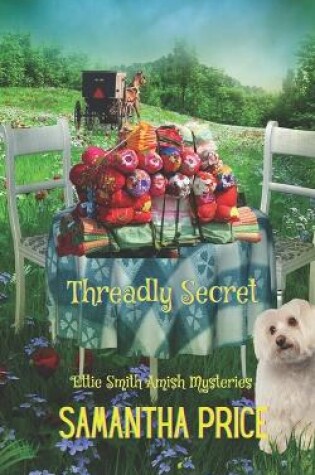 Cover of Threadly Secret