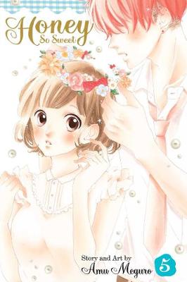 Cover of Honey So Sweet, Vol. 5