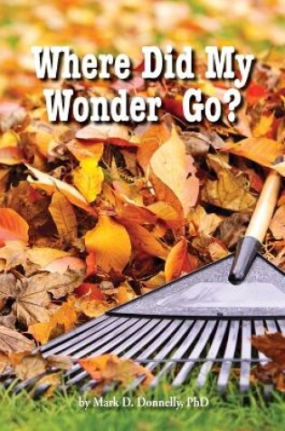 Cover of Where Did My Wonder Go?