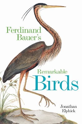 Book cover for Ferdinand Bauer's Remarkable Birds