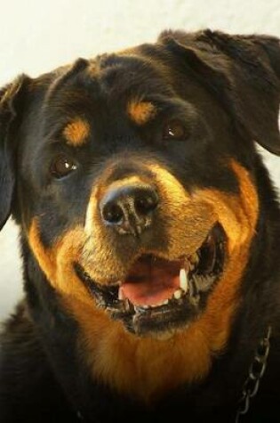 Cover of Rottweiler Profile with a Cocked Head, for the Love of Dogs