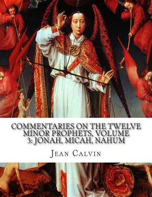 Book cover for Commentaries on the Twelve Minor Prophets, Volume 3