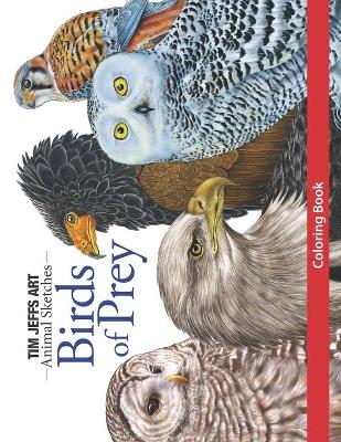 Book cover for Birds of Prey Coloring Book