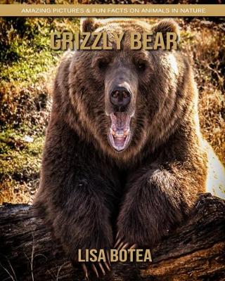 Book cover for Grizzly bear