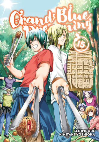 Cover of Grand Blue Dreaming 15