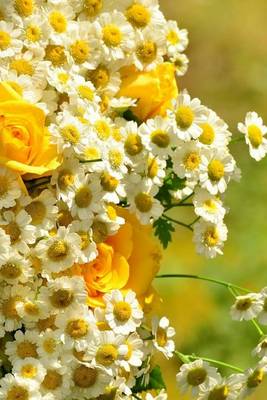 Book cover for A Beautiful Bouquet of Yellow Roses and White Flowers