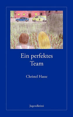 Book cover for Ein perfektes Team