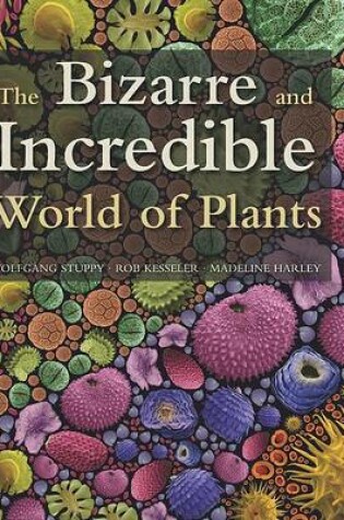 Cover of The Bizarre and Incredible World of Plants