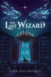 Book cover for The Last Wizard