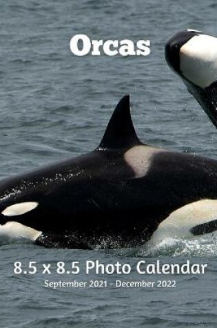 Cover of Orcas 8.5 X 8.5 Calendar September 2021 -December 2022