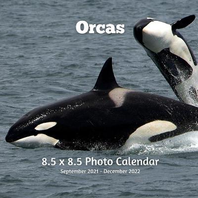 Book cover for Orcas 8.5 X 8.5 Calendar September 2021 -December 2022