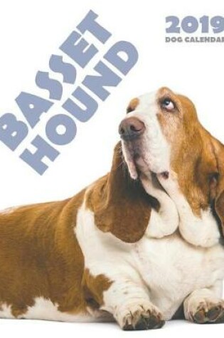 Cover of Basset Hound 2019 Calendar