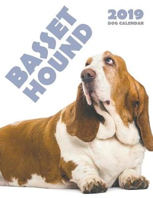 Book cover for Basset Hound 2019 Calendar