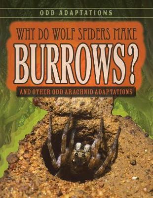 Book cover for Why Do Wolf Spiders Make Burrows?