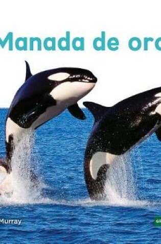 Cover of Manada de Orcas (Orca Whale Pod)