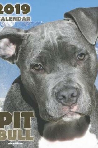 Cover of Pit Bull 2019 Calendar (UK Edition)