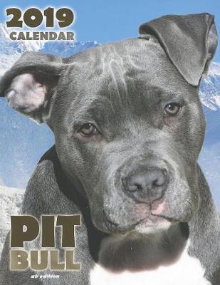 Book cover for Pit Bull 2019 Calendar (UK Edition)