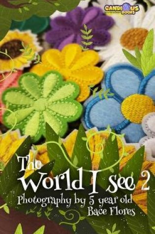 Cover of The World I See 2