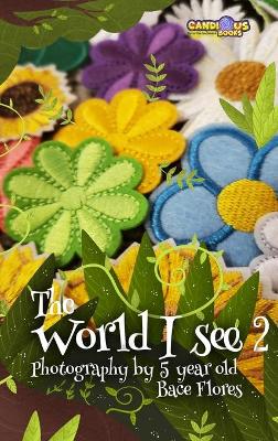 Book cover for The World I See 2