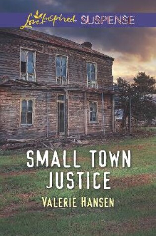 Cover of Small Town Justice