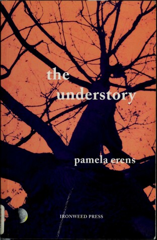 Book cover for Understory