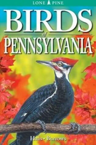 Cover of Birds of Pennsylvania