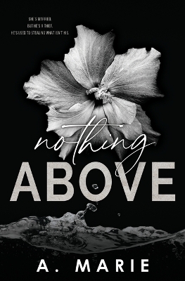 Book cover for Nothing Above