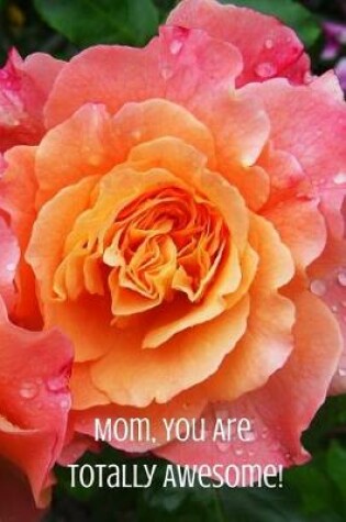 Cover of Mom, You Are Totally Awesome!