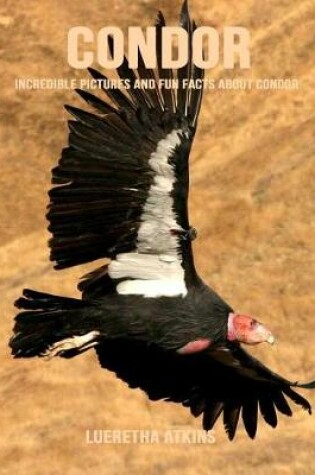 Cover of Condor