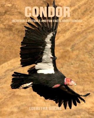 Book cover for Condor