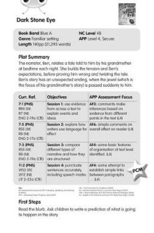 Cover of BC Blue (KS2) A/4B Dark Stone Eye Guided Reading Cards