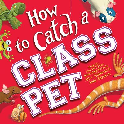 Cover of How to Catch a Class Pet