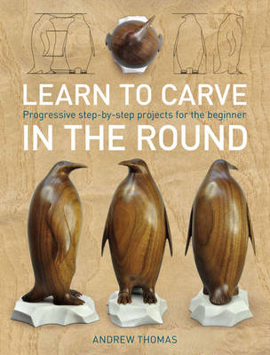 Book cover for Learn to Carve in the Round