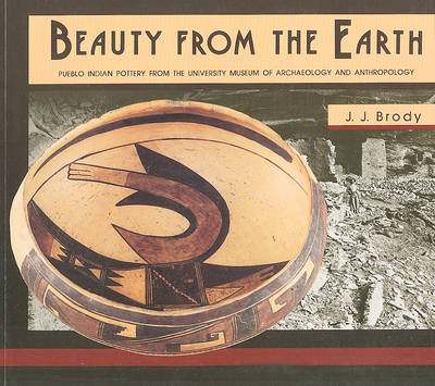 Book cover for Beauty From the Earth