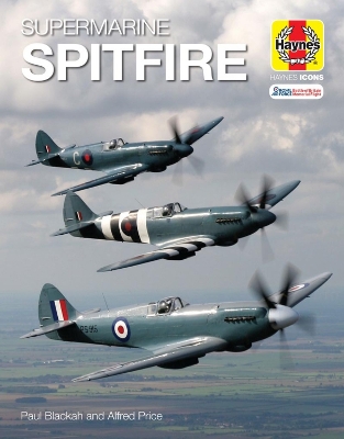 Book cover for Supermarine Spitfire (Icon)