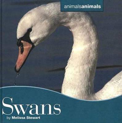 Cover of Swans