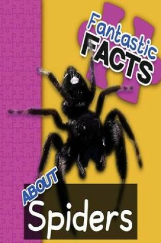 Cover of Fantastic Facts about Spiders