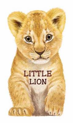 Book cover for Little Lion